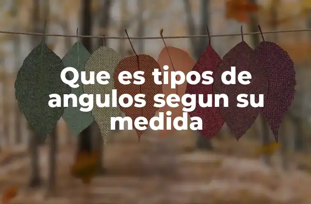 Que es Tipos de Angulos Segun Su Medida