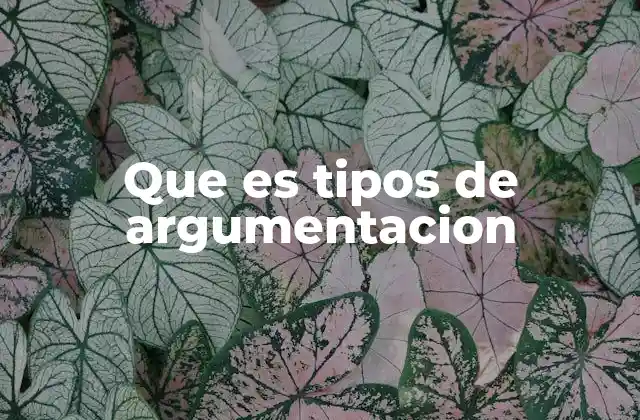 Que es Tipos de Argumentacion