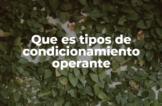 Que es Tipos de Condicionamiento Operante