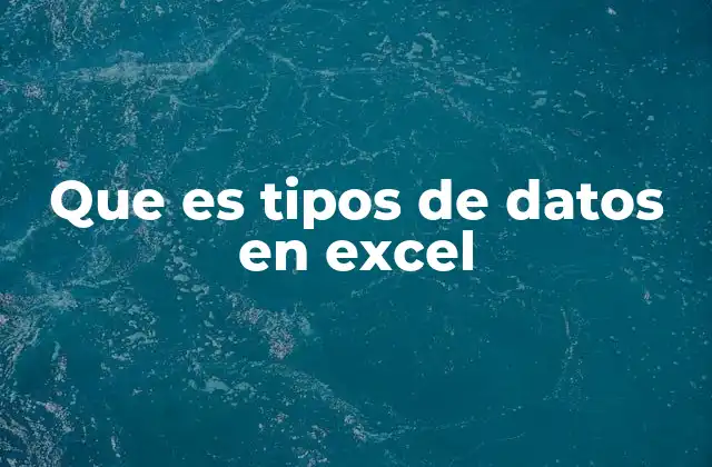 Que es Tipos de Datos en Excel