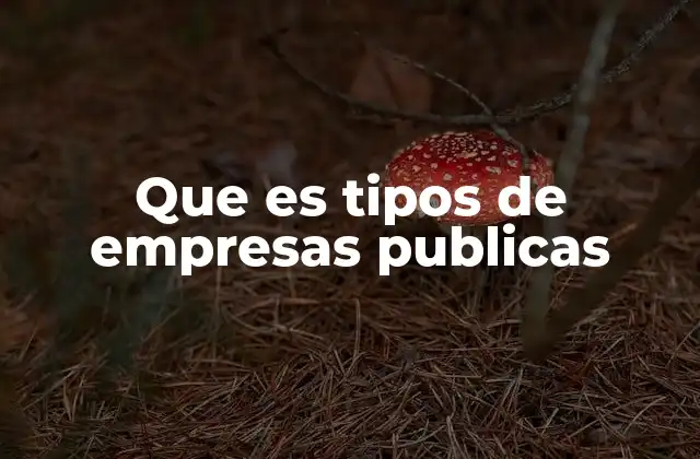Que es Tipos de Empresas Publicas