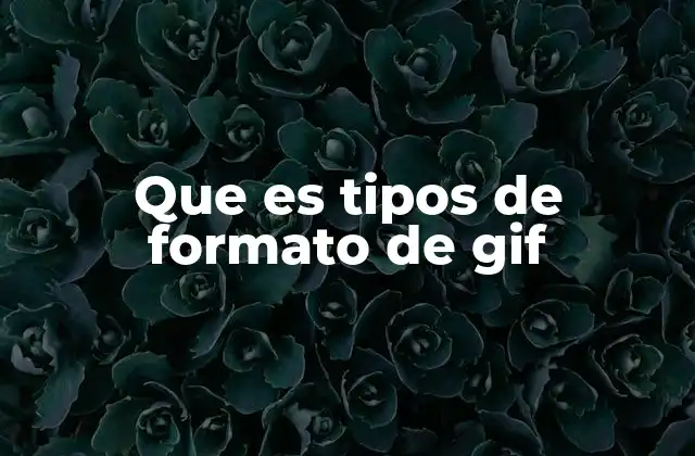 La evolución y utilidad del GIF en el entorno digital