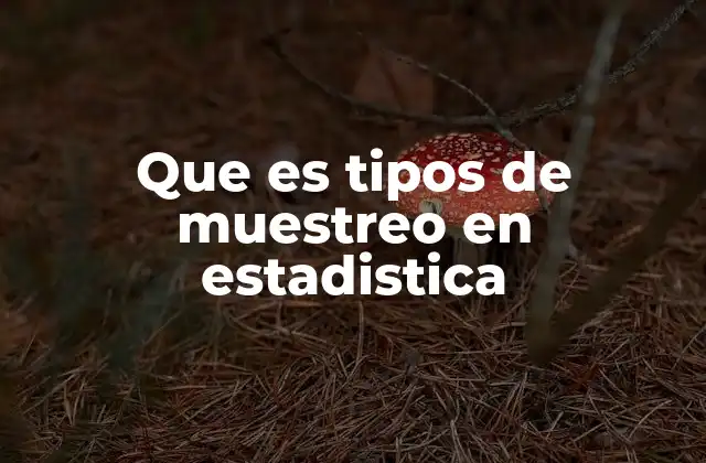 Que es Tipos de Muestreo en Estadistica