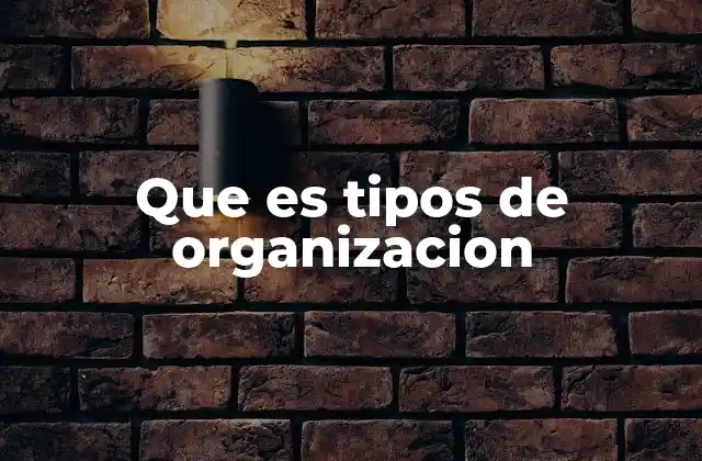 Que es Tipos de Organizacion