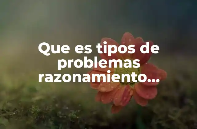 Que es Tipos de Problemas Razonamiento Complejo