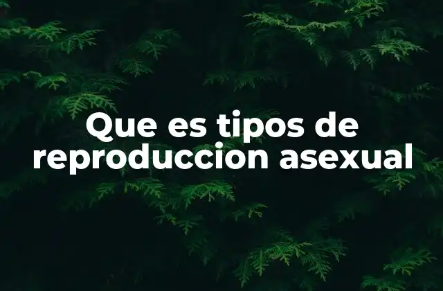 Que es Tipos de Reproduccion Asexual