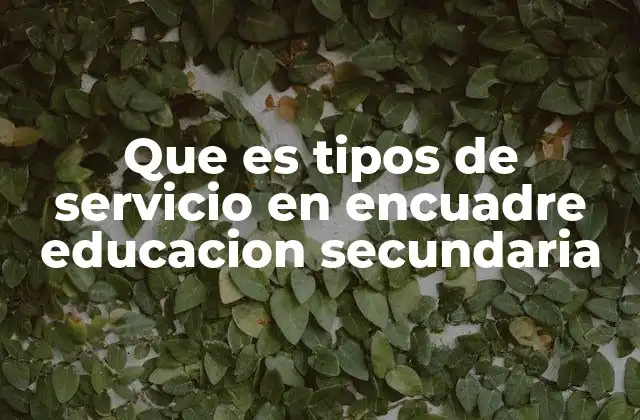 Que es Tipos de Servicio en Encuadre Educacion Secundaria