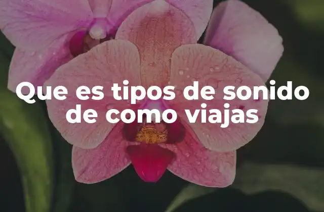 Que es Tipos de Sonido de como Viajas