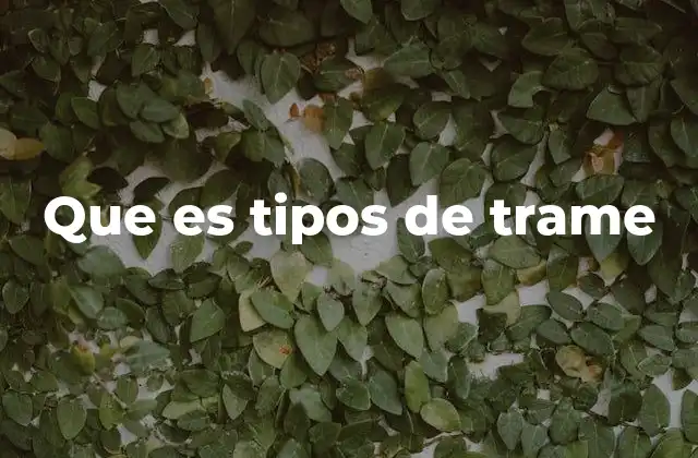 Características que definen los tipos de trame
