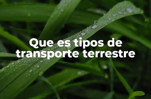 Que es Tipos de Transporte Terrestre