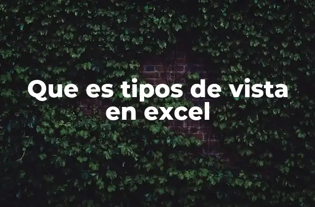 Que es Tipos de Vista en Excel