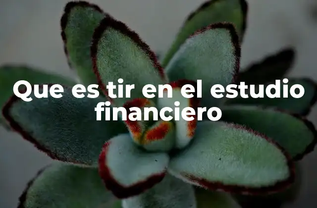 Que es Tir en el Estudio Financiero