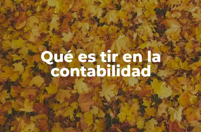 Qué es Tir en la Contabilidad