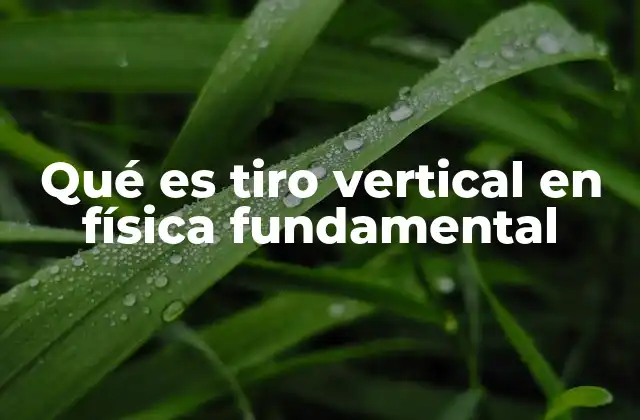 Qué es Tiro Vertical en Física Fundamental