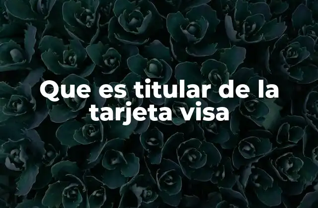 Que es Titular de la Tarjeta Visa