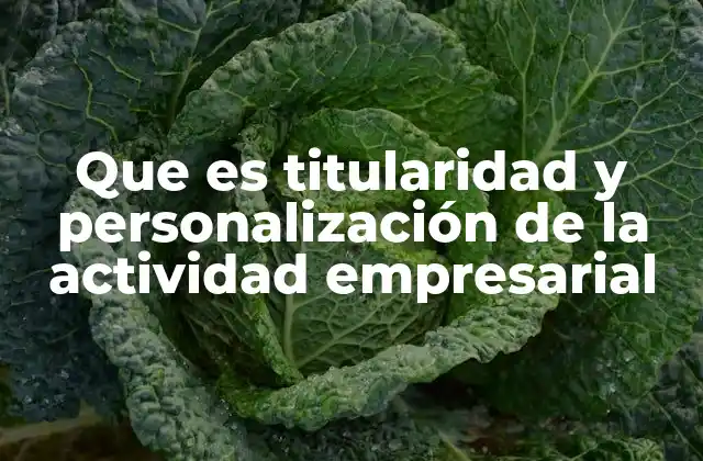 Que es Titularidad y Personalización de la Actividad Empresarial