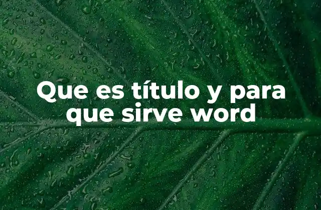 Que es Título y para que Sirve Word