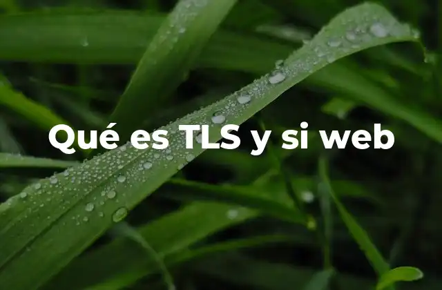 Qué es Tls y Si Web