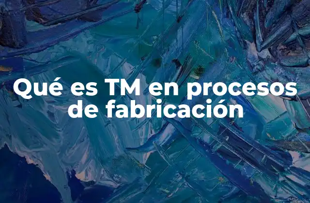 Qué es Tm en Procesos de Fabricación
