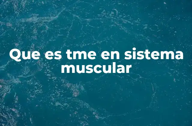 El papel del TME en el entrenamiento funcional