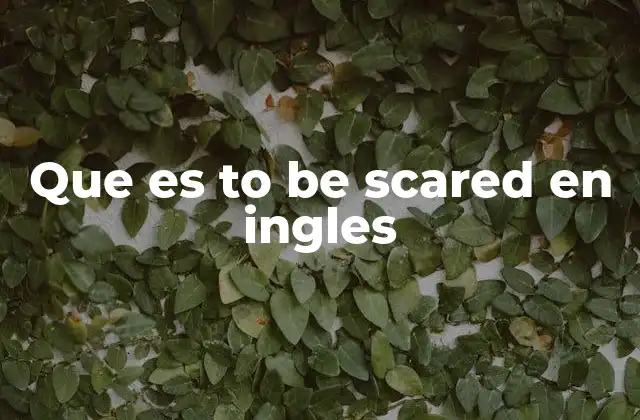 Que es To Be Scared en Ingles