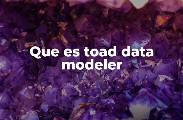 Que es Toad Data Modeler