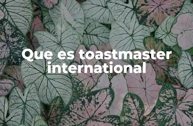 Que es Toastmaster International
