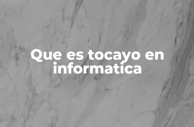 Que es Tocayo en Informatica
