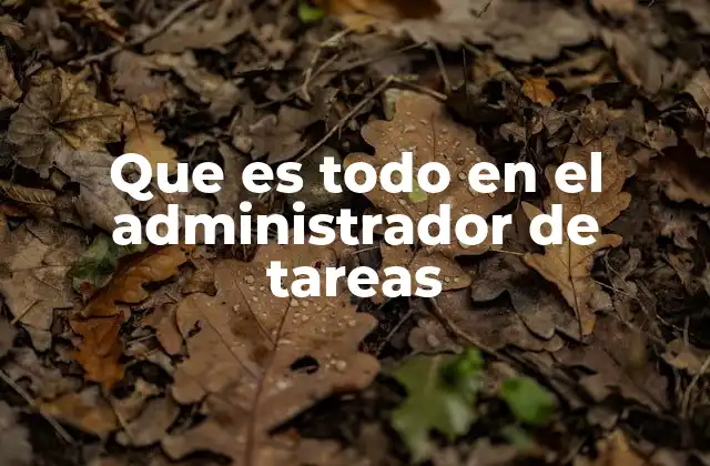 Que es Todo en el Administrador de Tareas