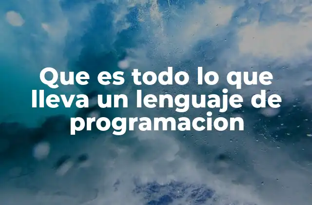Que es Todo Lo que Lleva un Lenguaje de Programacion