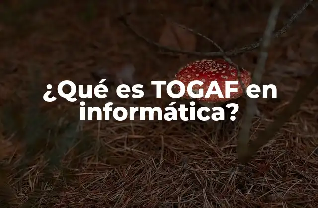 ¿qué es Togaf en Informática?