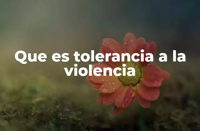 Que es Tolerancia a la Violencia