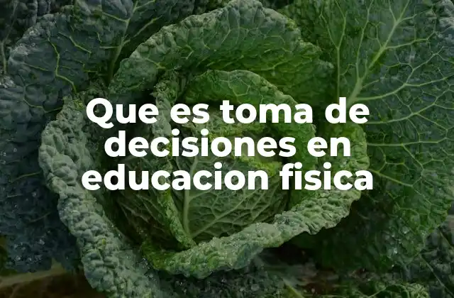 Que es Toma de Decisiones en Educacion Fisica