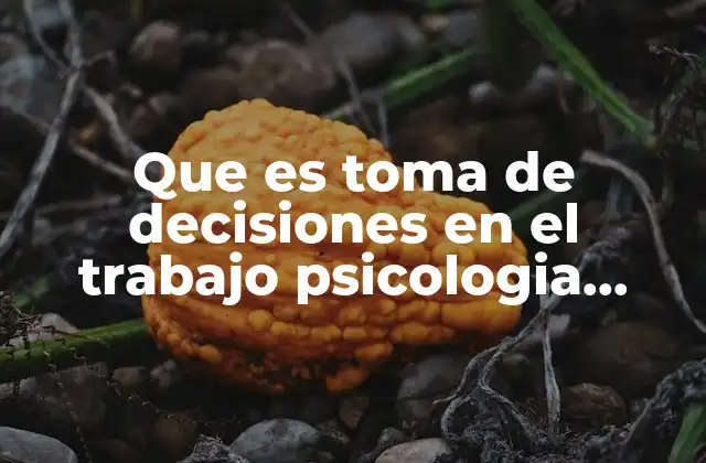Que es Toma de Decisiones en el Trabajo Psicologia Industrial