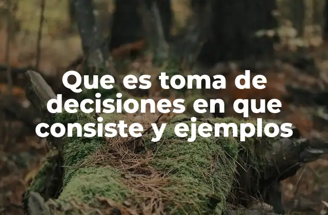 Que es Toma de Decisiones en que Consiste y Ejemplos