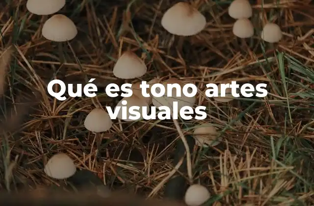 La importancia del tono en la percepción visual