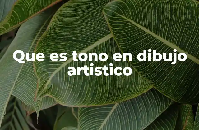Que es Tono en Dibujo Artistico