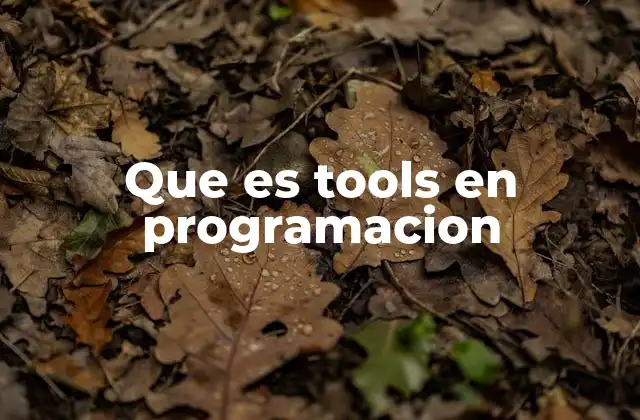 Que es Tools en Programacion 2 La importancia de los tools en el desarrollo de software