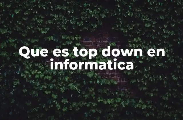 Que es Top Down en Informatica