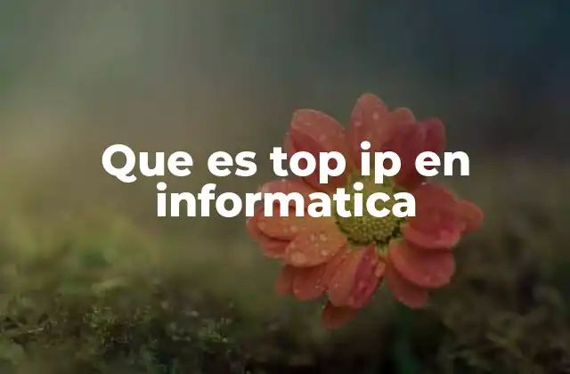 Que es Top Ip en Informatica