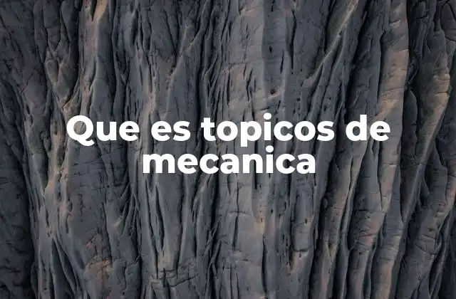 Que es Topicos de Mecanica