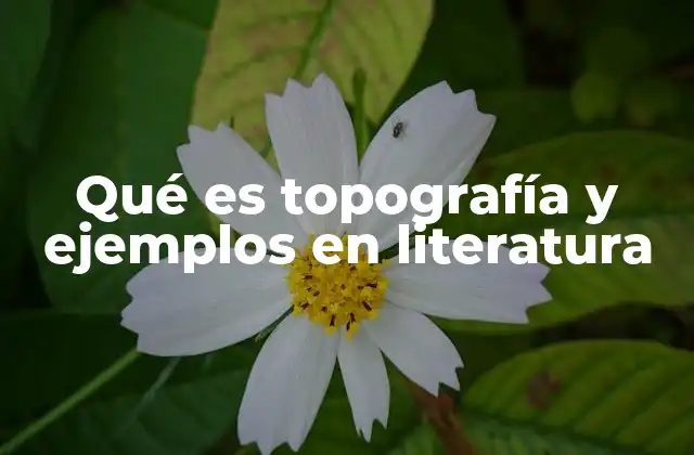 Qué es Topografía y Ejemplos en Literatura