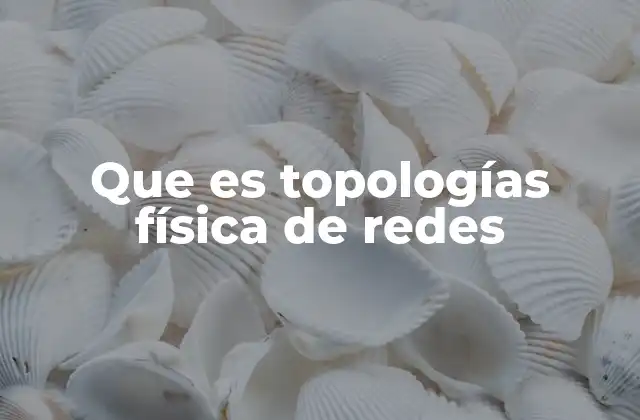 Que es Topologías Física de Redes