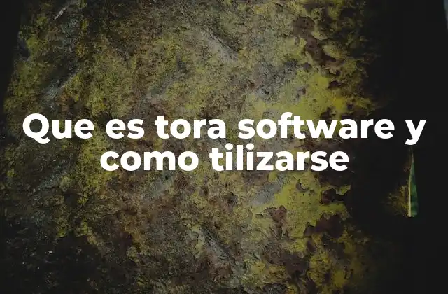 Que es Tora Software y como Tilizarse