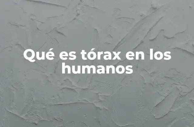 La importancia del tórax en el cuerpo humano