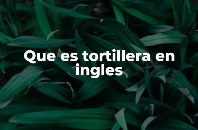 Que es Tortillera en Ingles