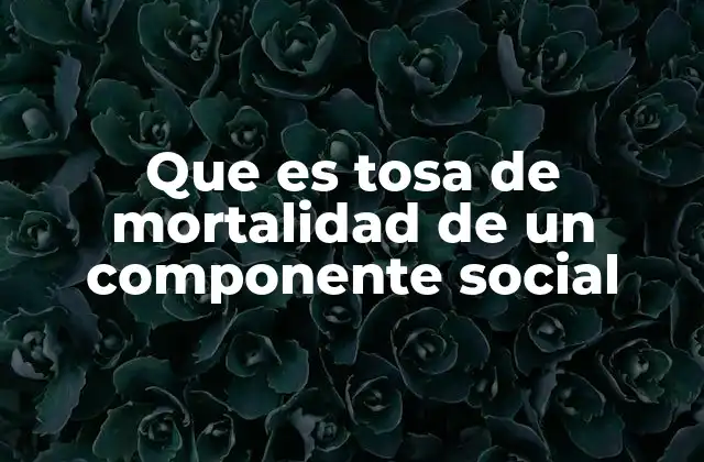 La importancia de analizar la mortalidad en contextos sociales