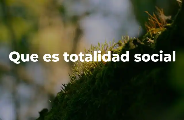 Que es Totalidad Social