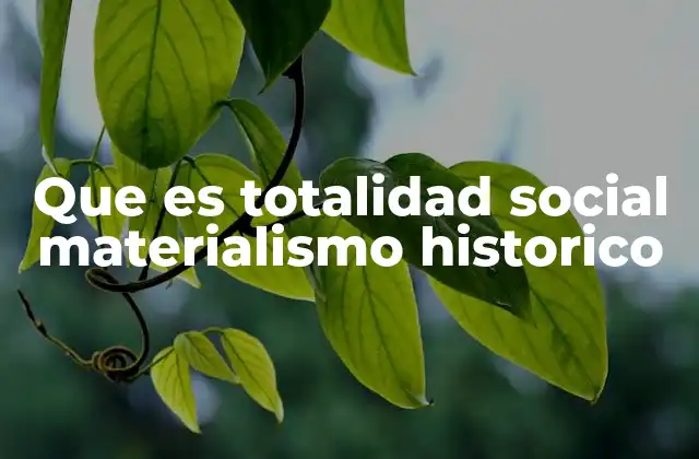 Que es Totalidad Social Materialismo Historico