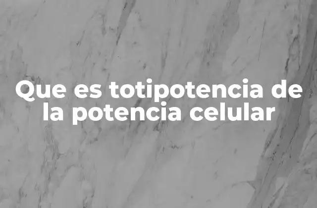 Que es Totipotencia de la Potencia Celular